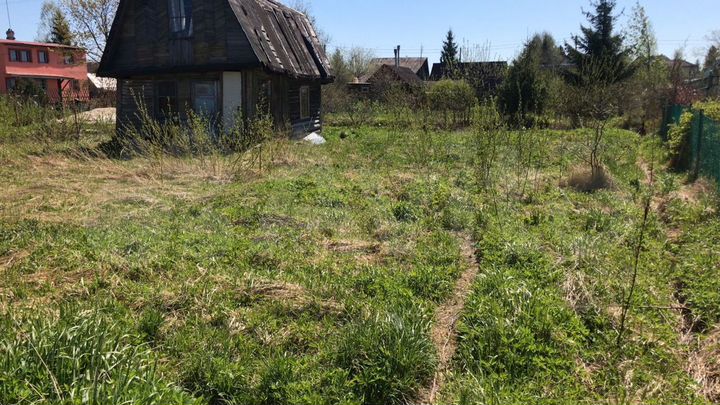 Участок 6 сот. (СНТ, ДНП)