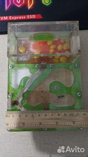 Муравьиная ферма бу