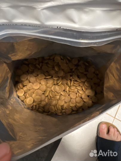 Корм для собак