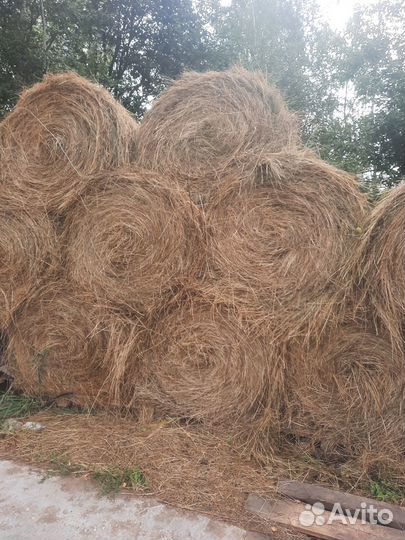 Сено,луговое,разнотравье