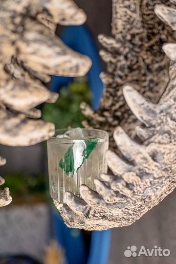 Фуд фотограф