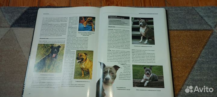 Собаки. Большая энциклопедия