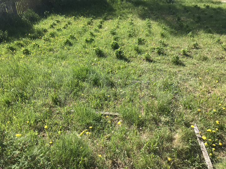 Дача 15 м² на участке 9,3 сот.