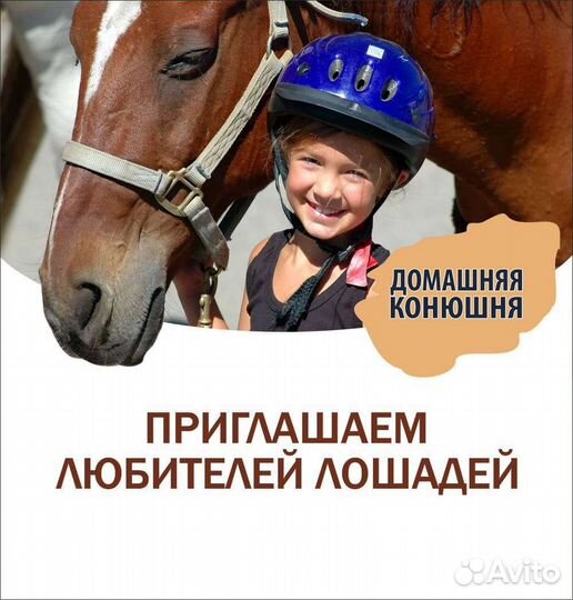 Выгул лошадей пони. Тренерство. Волонтерство