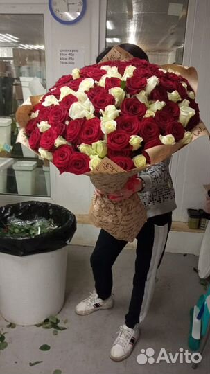 Розы 101 штука 70 см