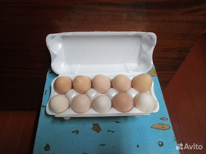 Домашние куриные яйца