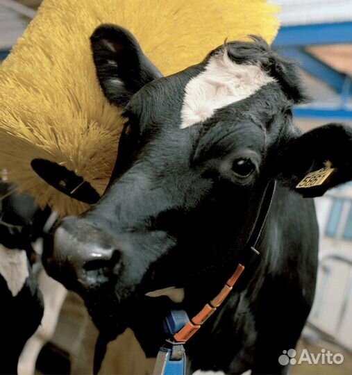 Щетки для чистки коров