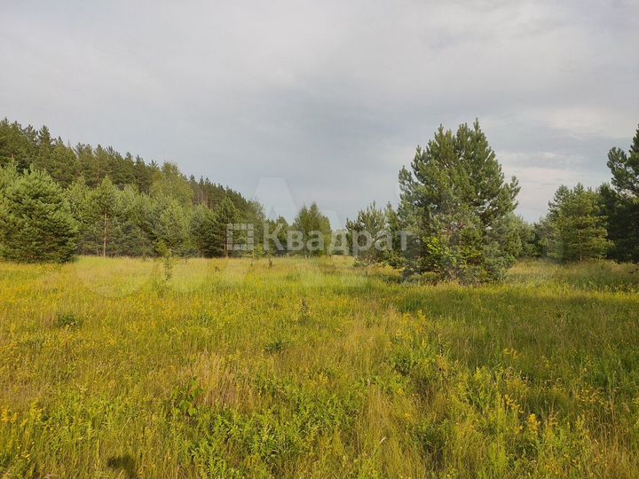 Участок 9 га (СНТ, ДНП)