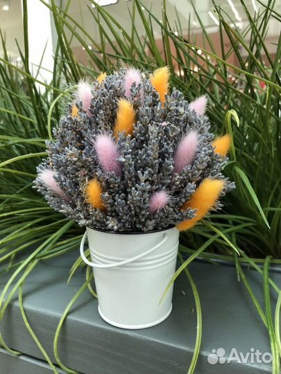 Ведерки с лавандой