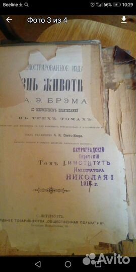 Жизнь животных 1904 года