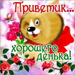 Добрый день для ватсапа
