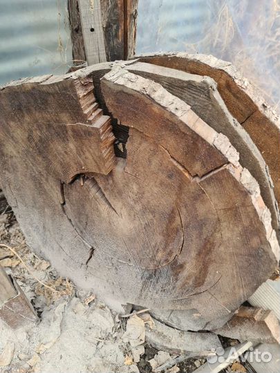 Спилы дерева для декора