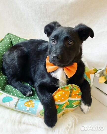 Малышка от наикрасивейшей мамки