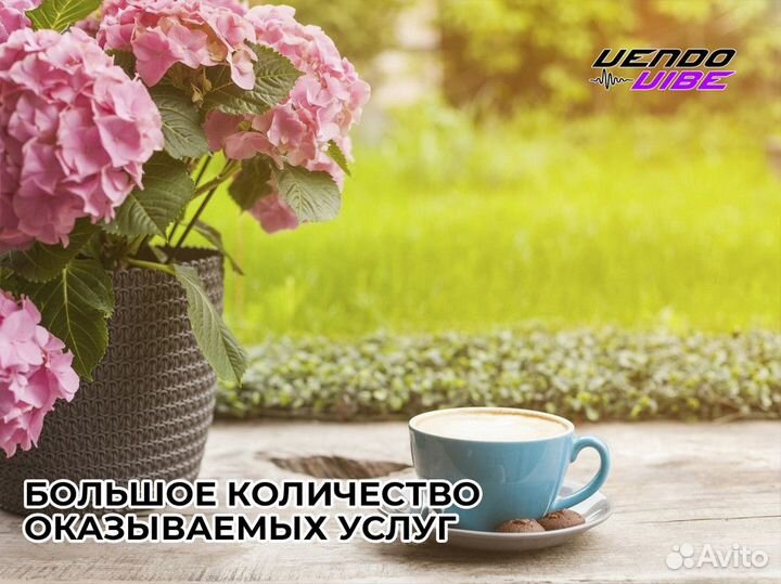 VendoVibe: Гарантированное развитие вашего бизнеса