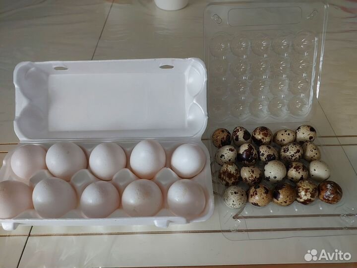 Картофель,яйца