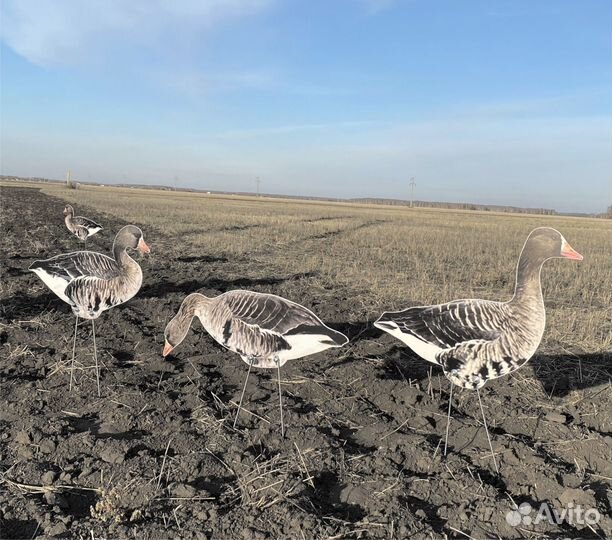 Профиль гуся чучело