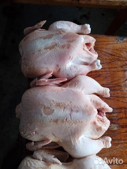 Бройлеры тушки мясо