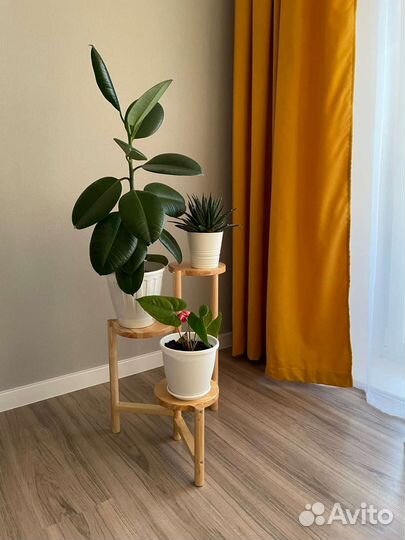 Новая Подставка для цветов напольная массив дерева