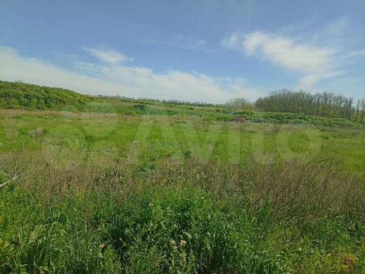 Участок 6 сот. (ИЖС)