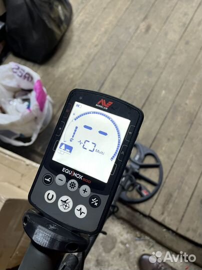 Minelab equinox 800