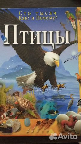 Читать птицы его жизни. Люди и птицы книга. Птица с книгами англ. Отчего и почему птицы Аванта. 5-85044-859-4 Джонсон птицы 2002.