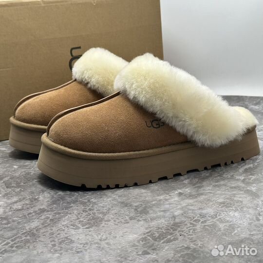 Ugg disguette chestnut