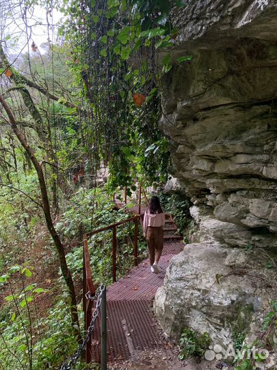 Большое кольцо Тисо-Самшитовой рощи + каньон