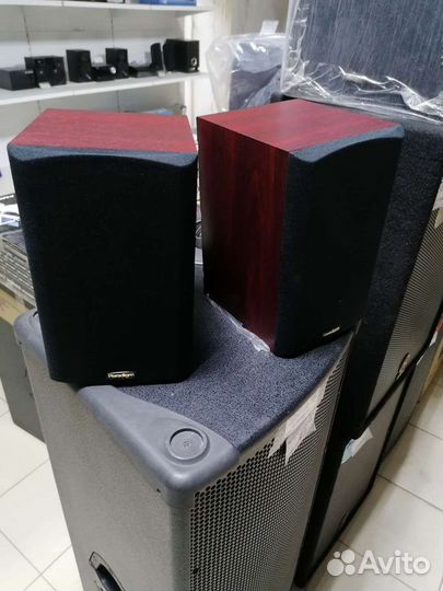 Акустика Paradigm Atom v.3 Цвет Rosenut