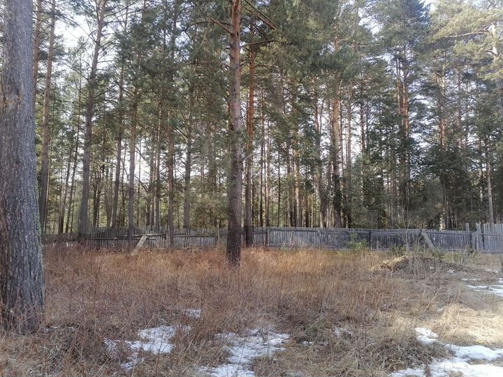 Дом 85,3 м² на участке 30 сот.