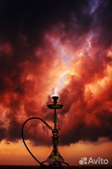 Аренда кальяна на дом