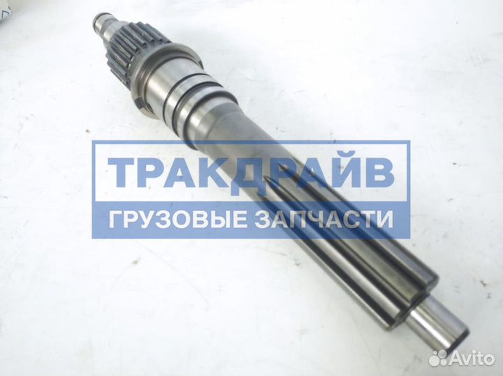 Вал кпп первичный Ман Тгх