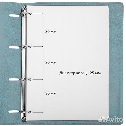 Тетрадь на кольцах большая А4 (240х310 мм), 120 ли