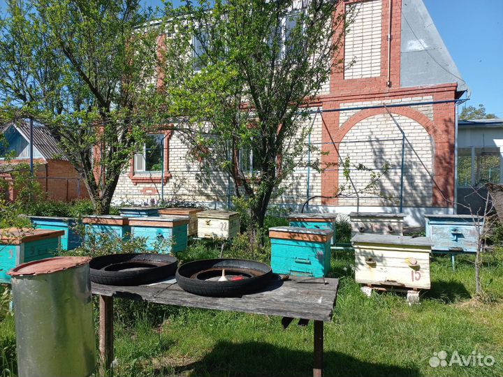 Продается пасека