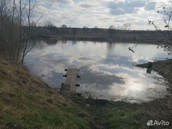 Платная рыбалка