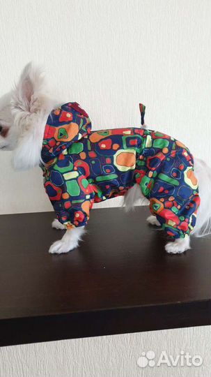 Одежда для собак