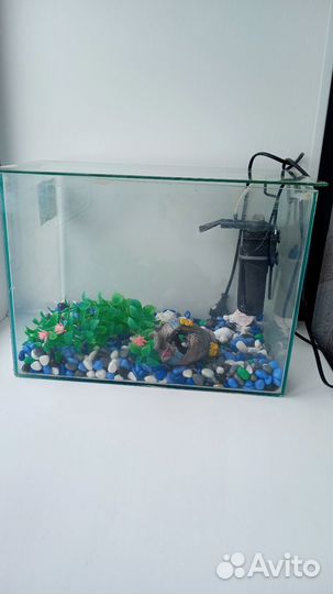 Аквариум