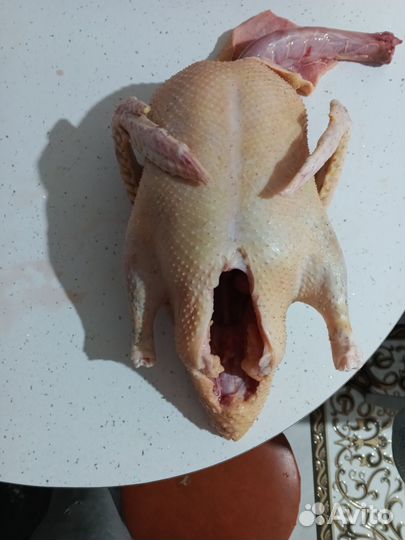 Мясо утки и яйцо куриное