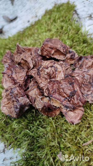 Вкусняшки и Лакомства для собак