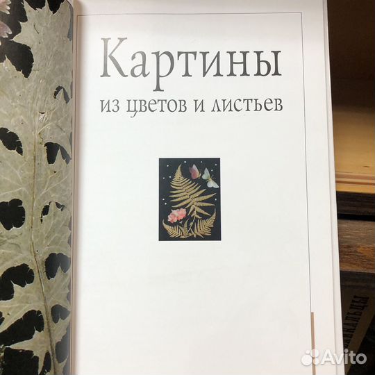 Картины из цветов. Зубков. 2005 год