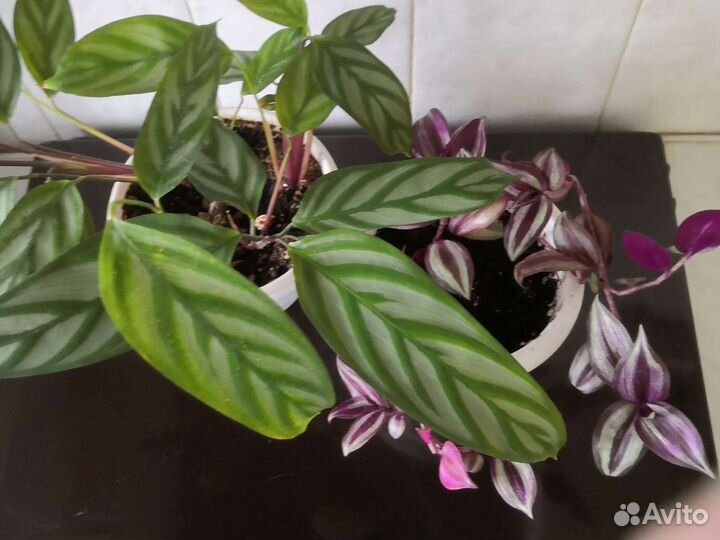 Кармашки для цветов