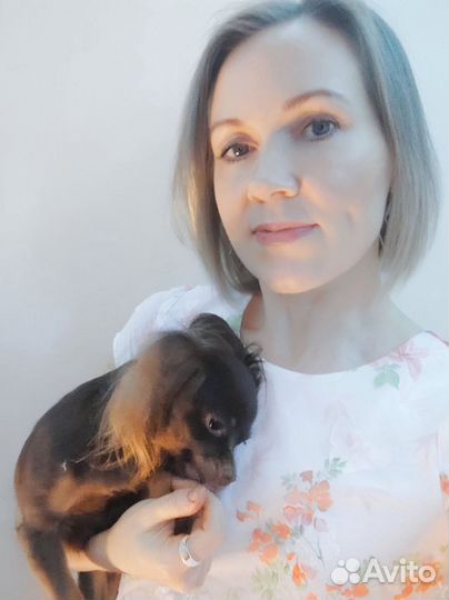 Няня экстренно или постоянно