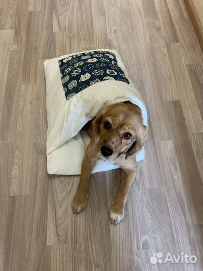 Лежанка для животных собак и кошек