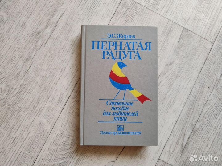 Пернатая радуга, Жердев