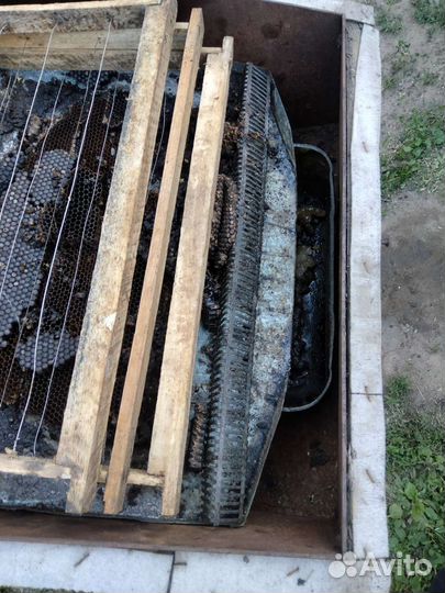 Воскотопка солнечная