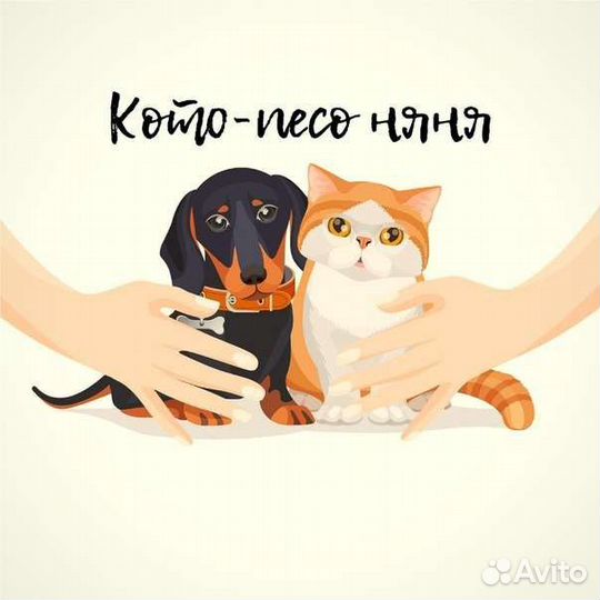 Передержка животных