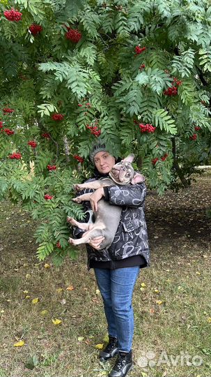 Вязка или Продажа