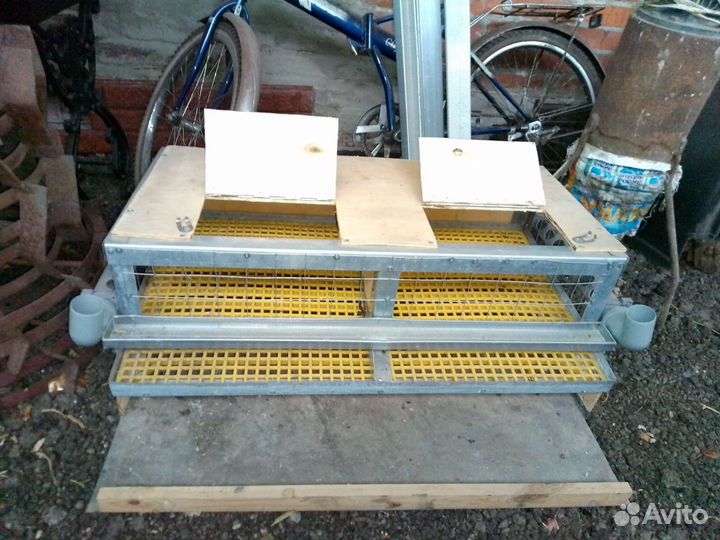 Клетка для перепёлок