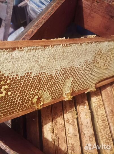 Мед натуральный