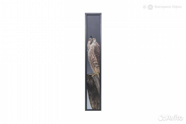 Оружейный сейф Aiko Беркут 3 Print