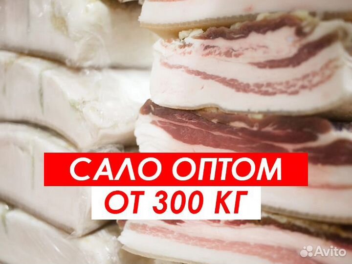 Сало оптом. Грудинка оптом